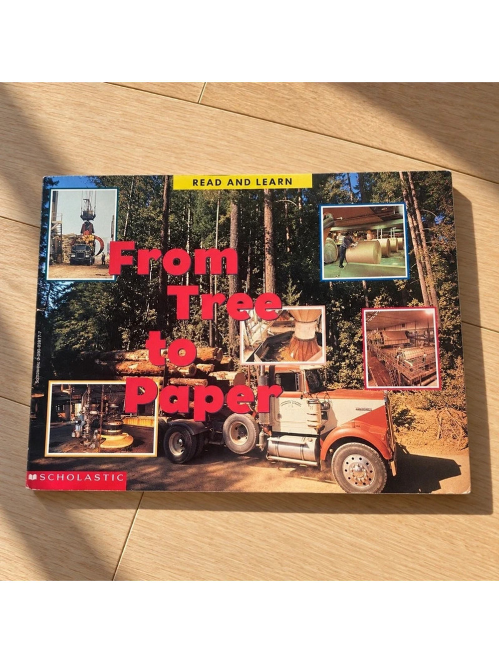 From Tree to Paper Scholastic Read and Learn 1995 Vintage Kids Science Book